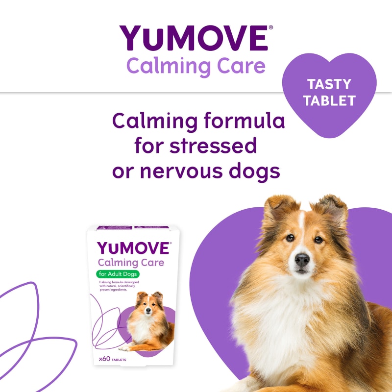 Yumove advance for older dogs 2025
