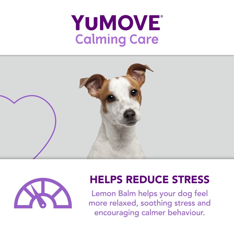 Calming care sales dogs