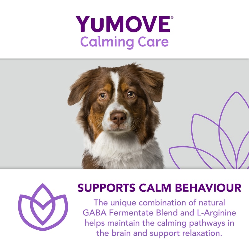 Calming care deals dogs