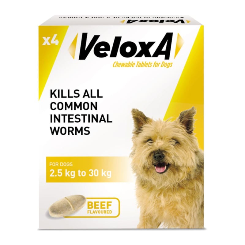 Veloxa Chewable Worming Tablets for Dogs 1 tablet per 10kg 2 Tablets