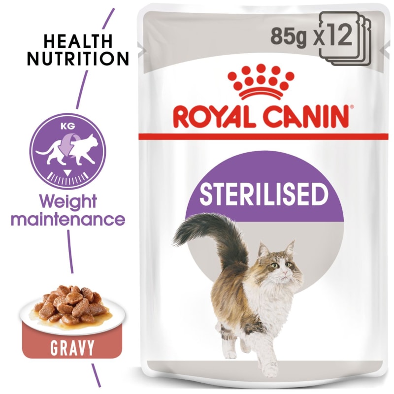 Adult wet cat food top