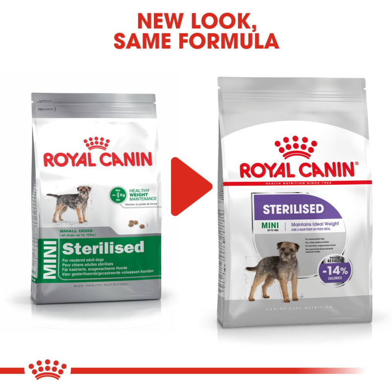 Royal canin best sale mini adult sterilized