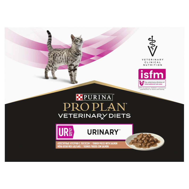 Cat bladder stones diet online