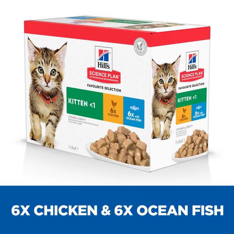 Science kitten deals