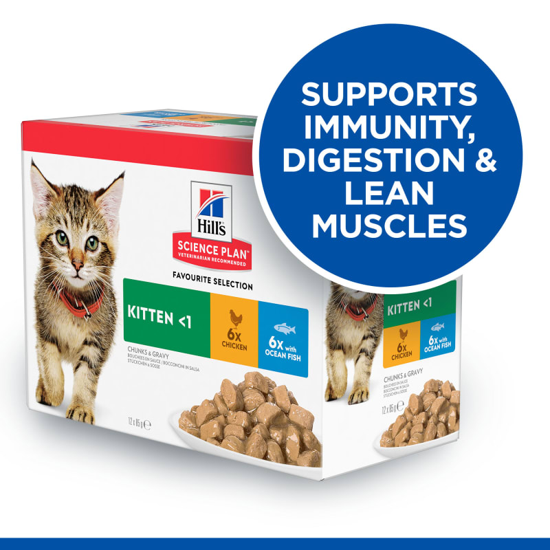 Science diet kitten wet food new arrivals
