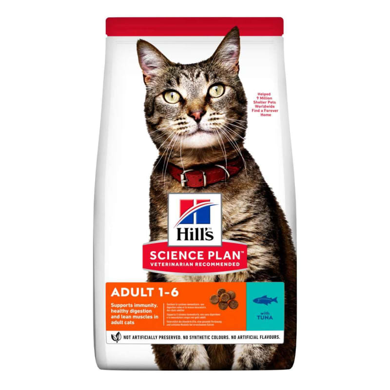 Scientific cat food online