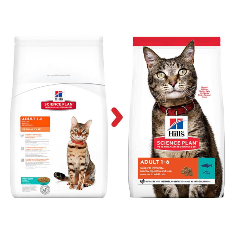 Science plan dry cat food top