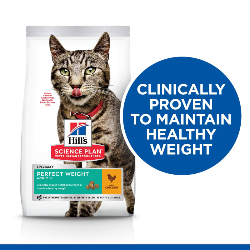 Science plan perfect weight cat food hotsell