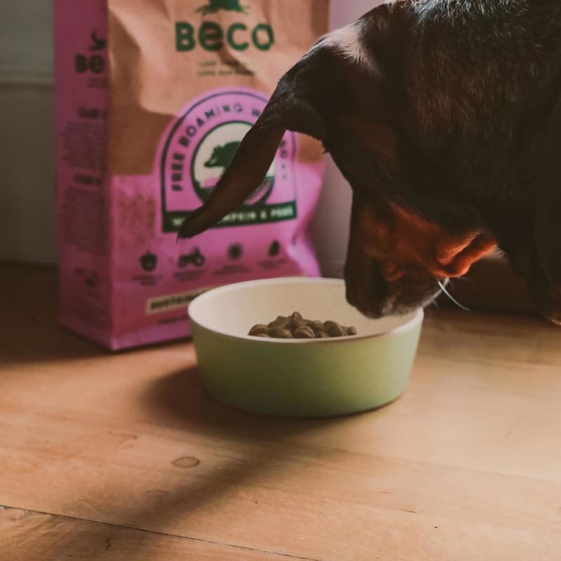 Beco Pets Eco Conscious Adult Dry Dog Food MedicAnimal