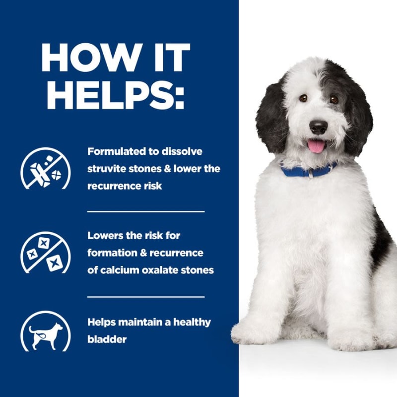 Best dog food for struvite crystals online