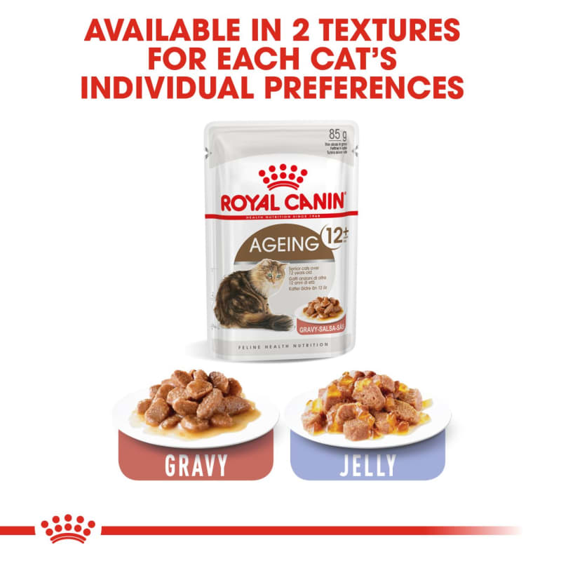 Royal canin senior wet cat food sale