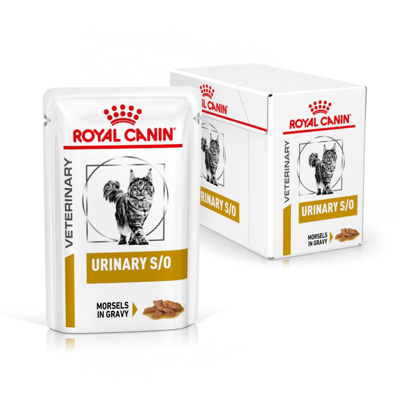 Royal Canin Urinary S O Morsels in Gravy MedicAnimal