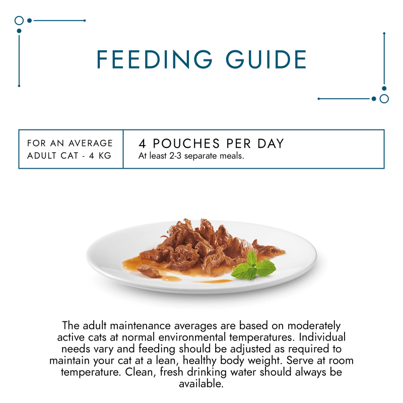 Cat pouches per day online