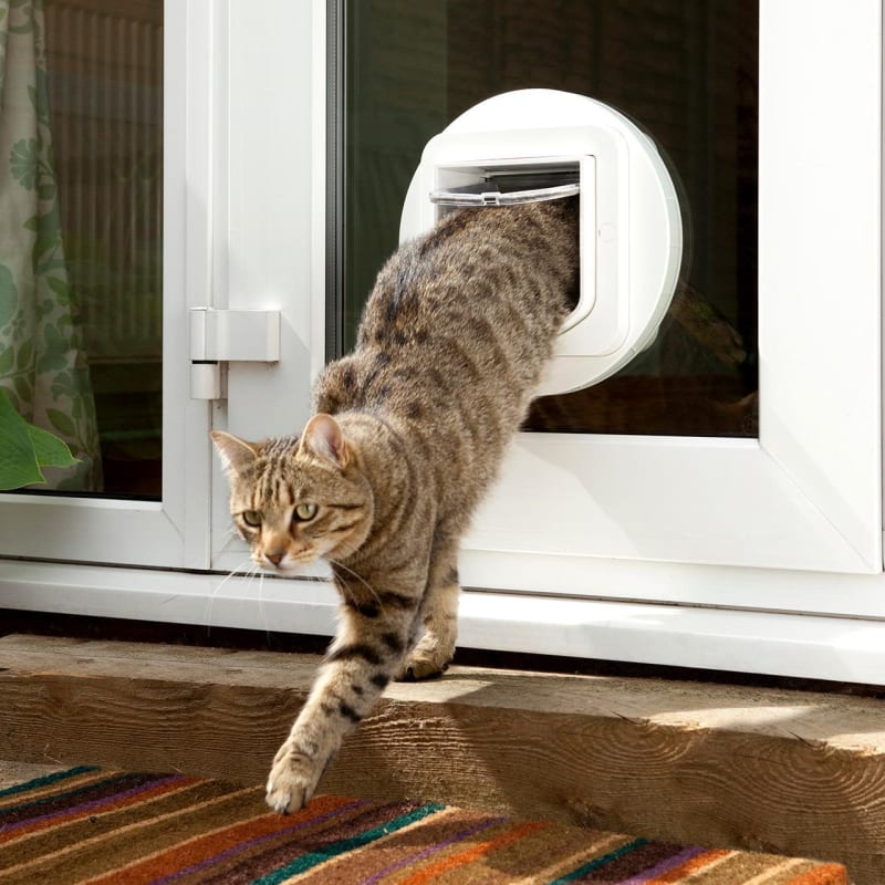 Sureflap pet door sales mounting adaptor