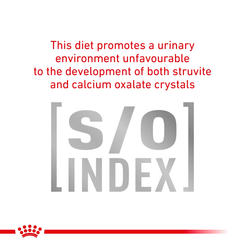 Royal canin best sale satiety calories