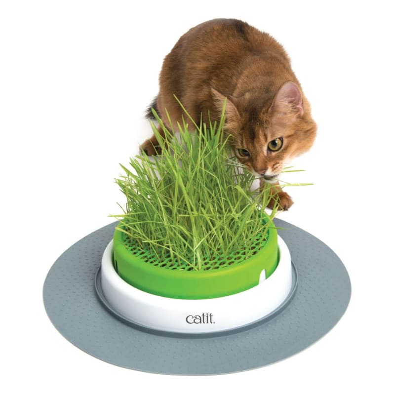 Catit Senses 2.0 Cat Grass Planter, Interactive Cat Toys