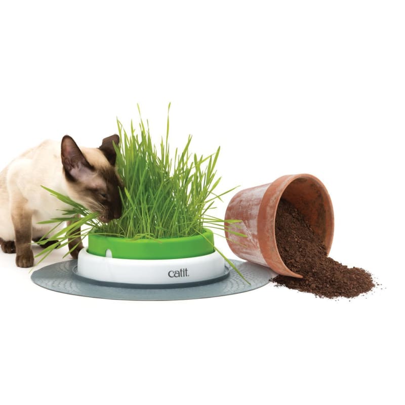 Catit Senses 2.0 Cat Grass Planter, Interactive Cat Toys