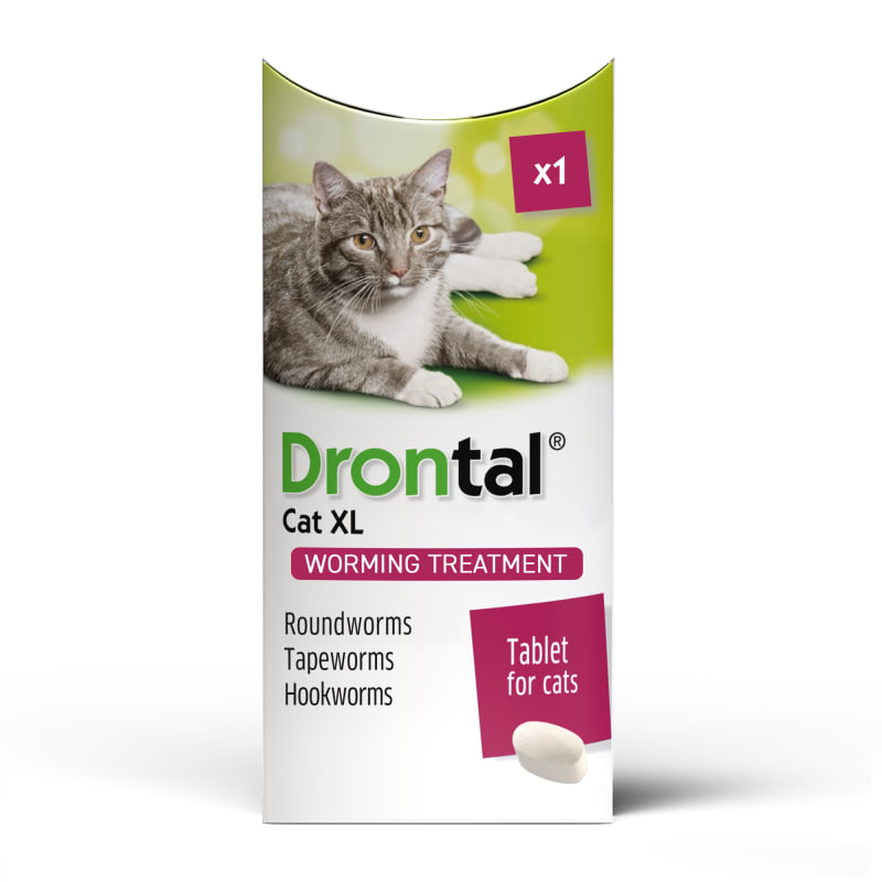 Cat and deals dog wormer