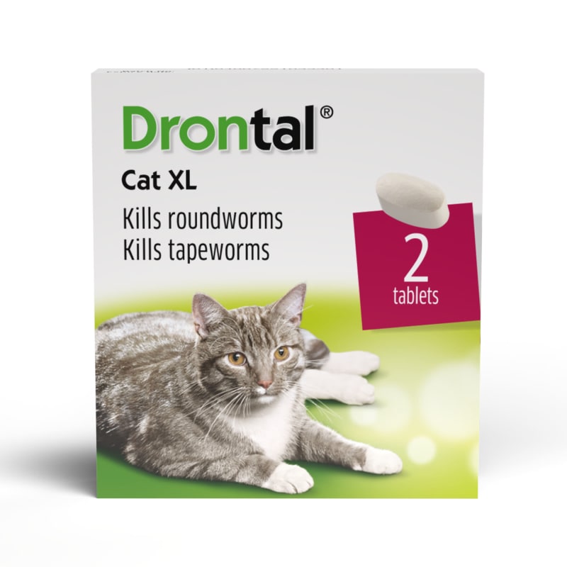 Drontal large sales dog worming tablets