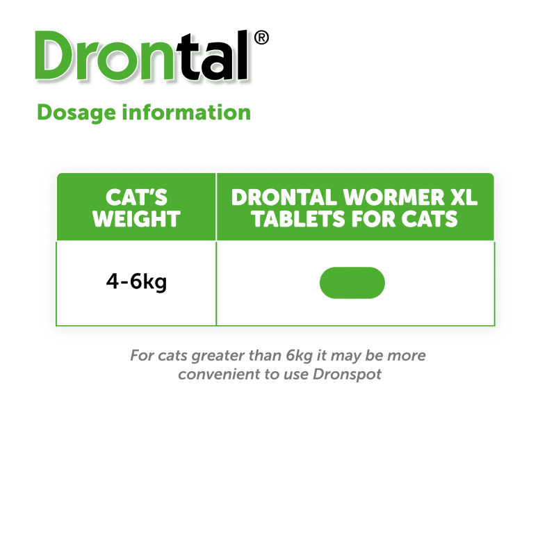 Drontal cat wormer deals spot on