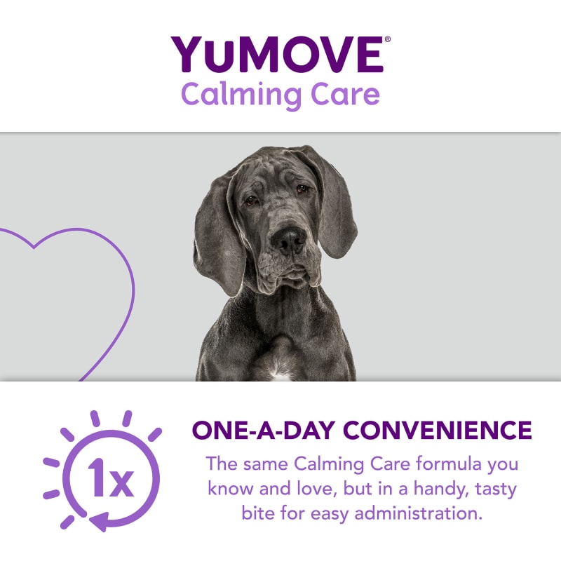 Yumove one discount a day