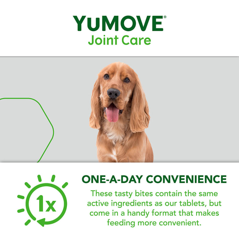 Yumove one a day online