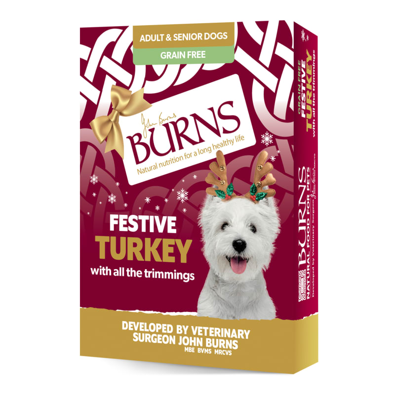 Home cooked food deals for senior dogs