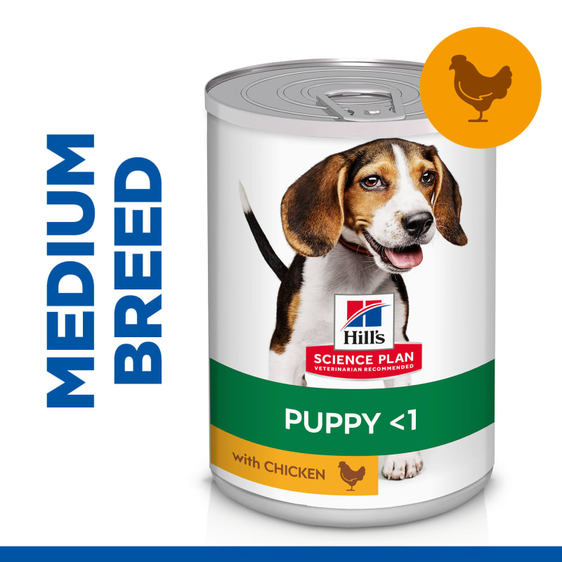 Science plan dog food store