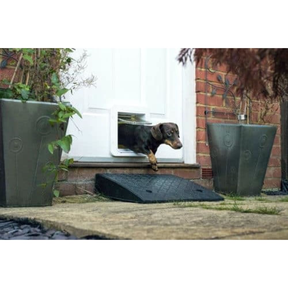 Doggy door with chip reader shop