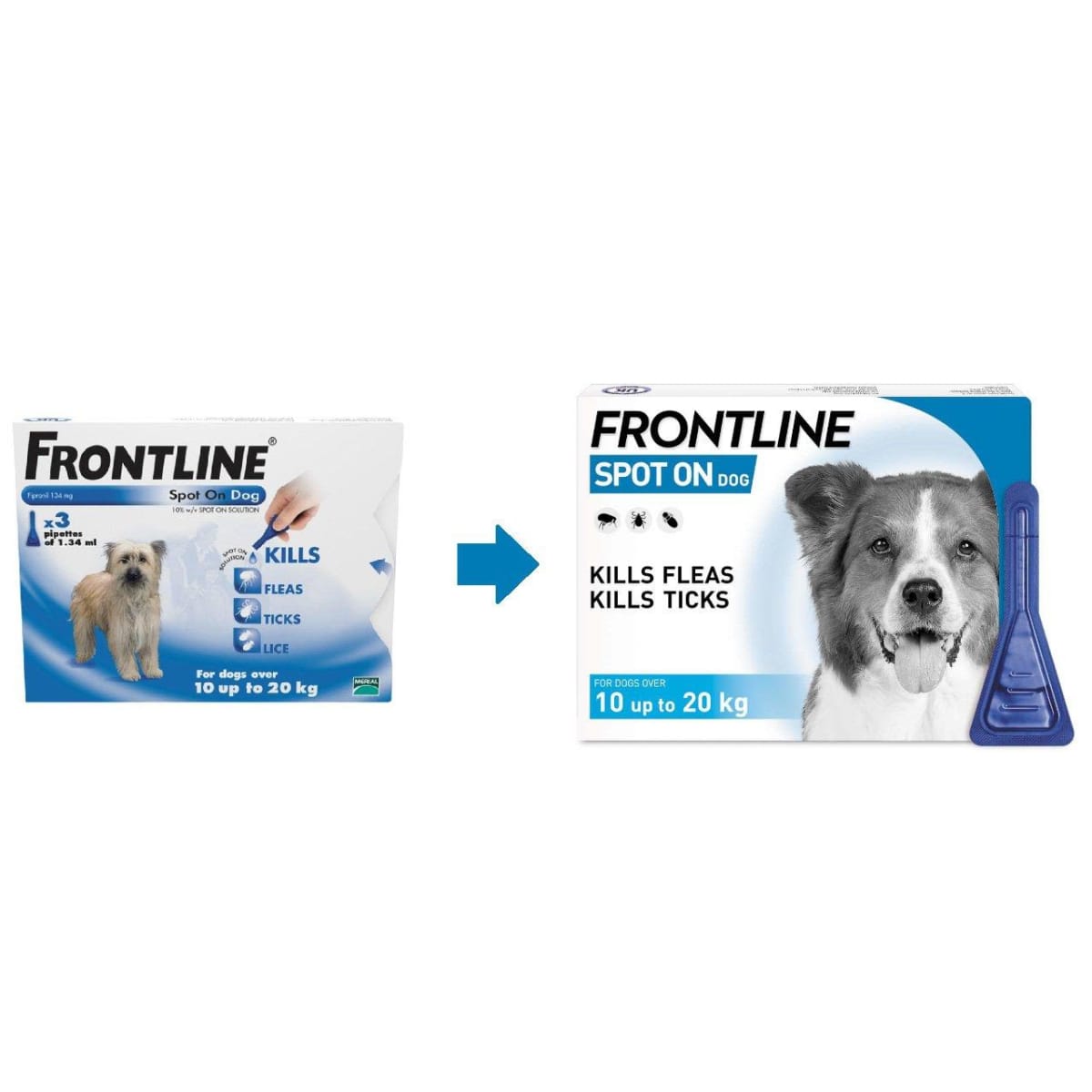 Frontline spot on dog on sale