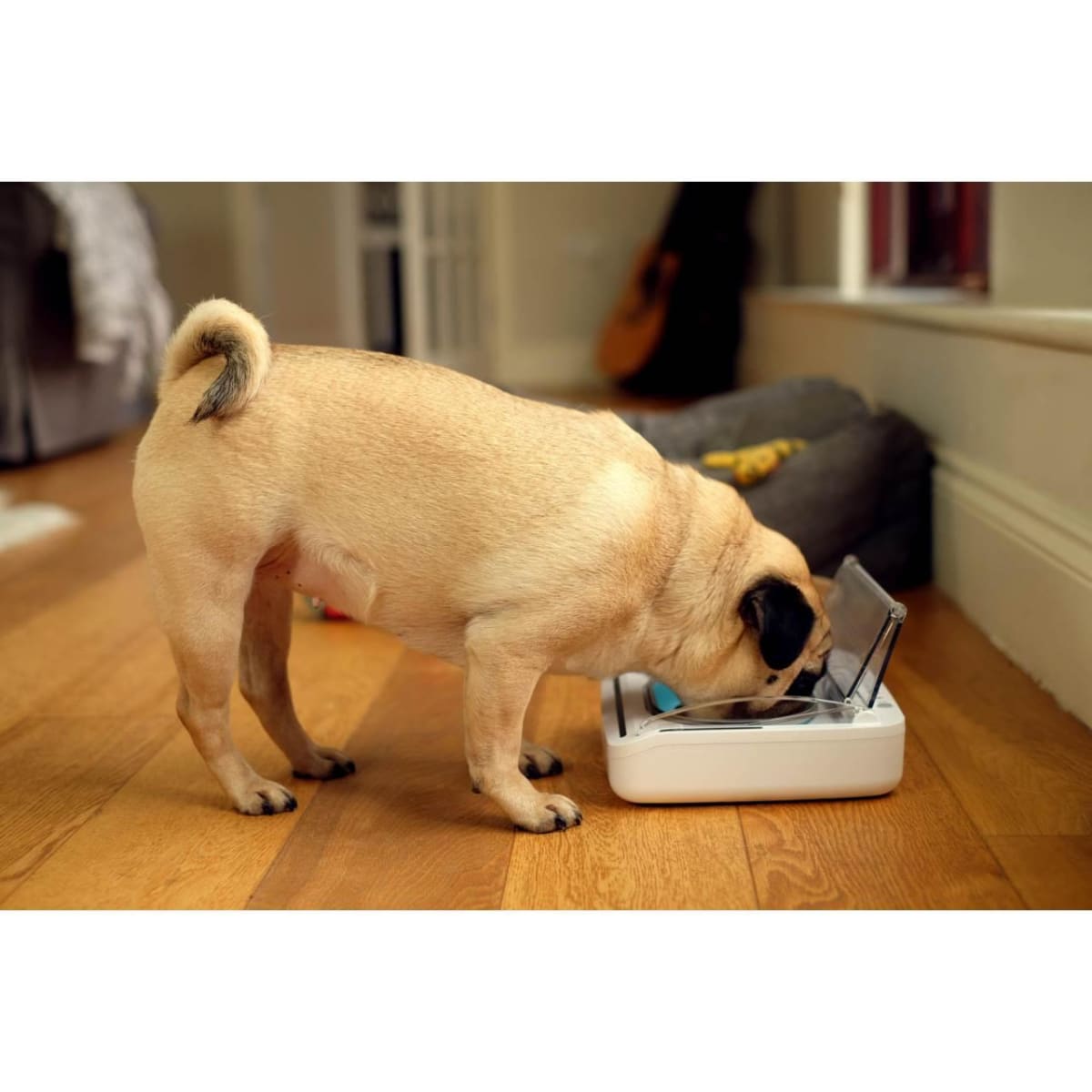 Sealed pet bowl sale