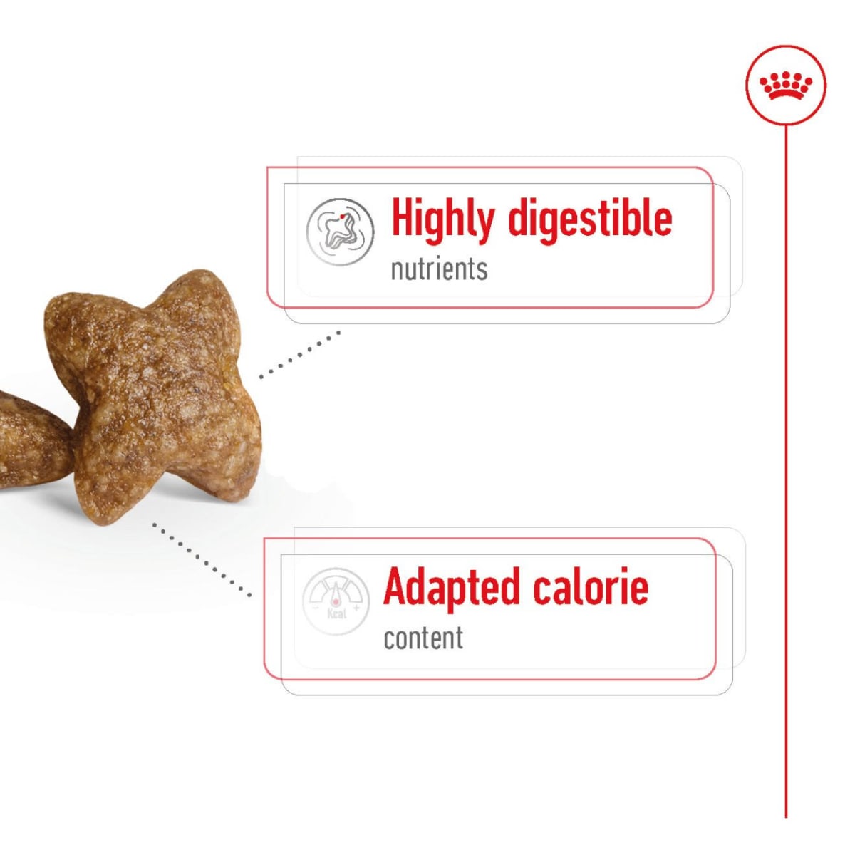 royal canin small puppy dry dog food feeding guide