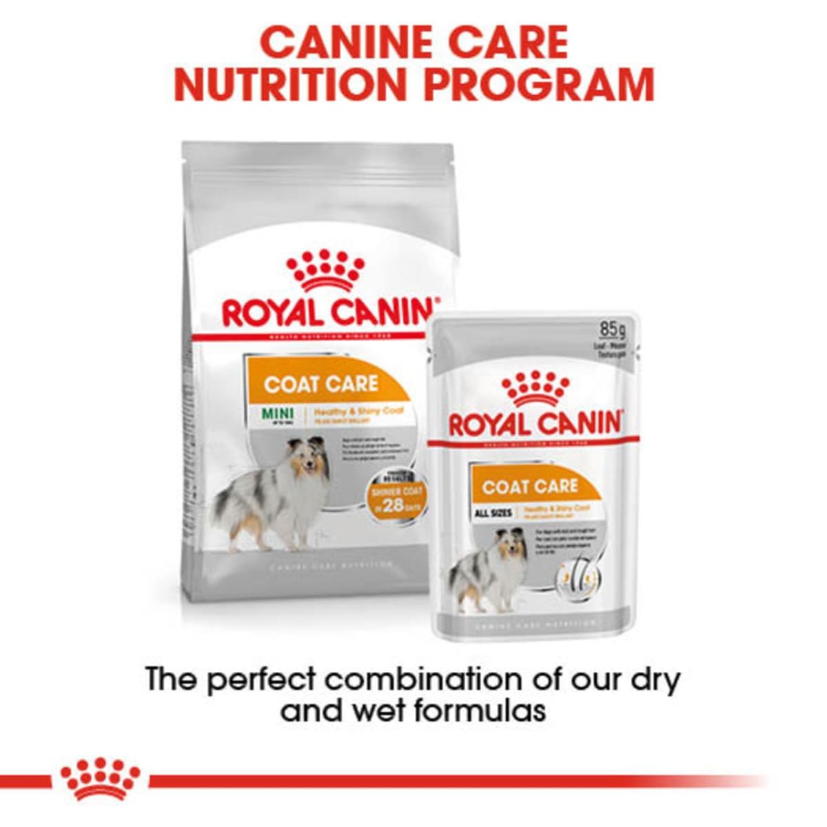 Royal canin coat care wet