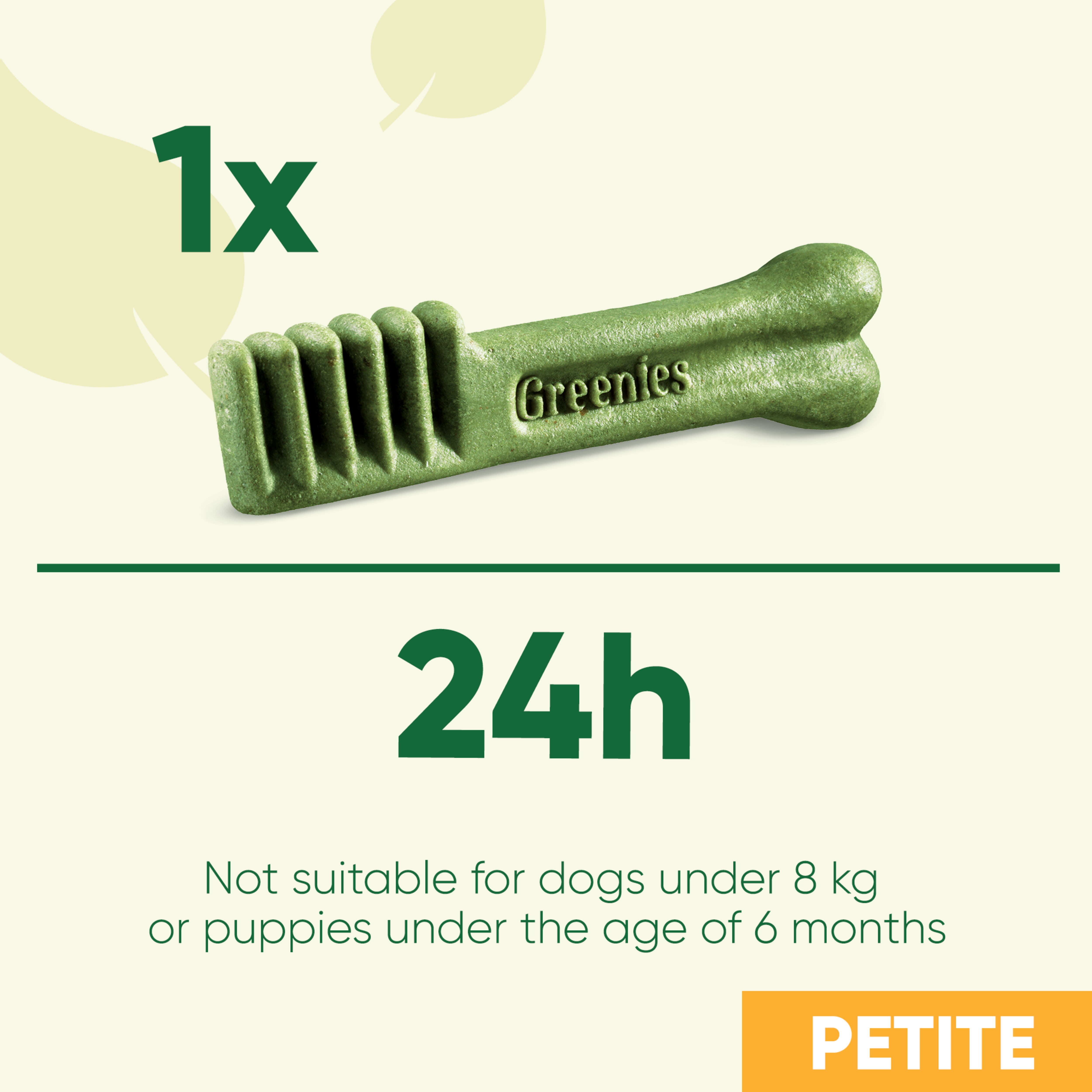 giant nylabone