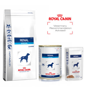 royal canin renal special dog food