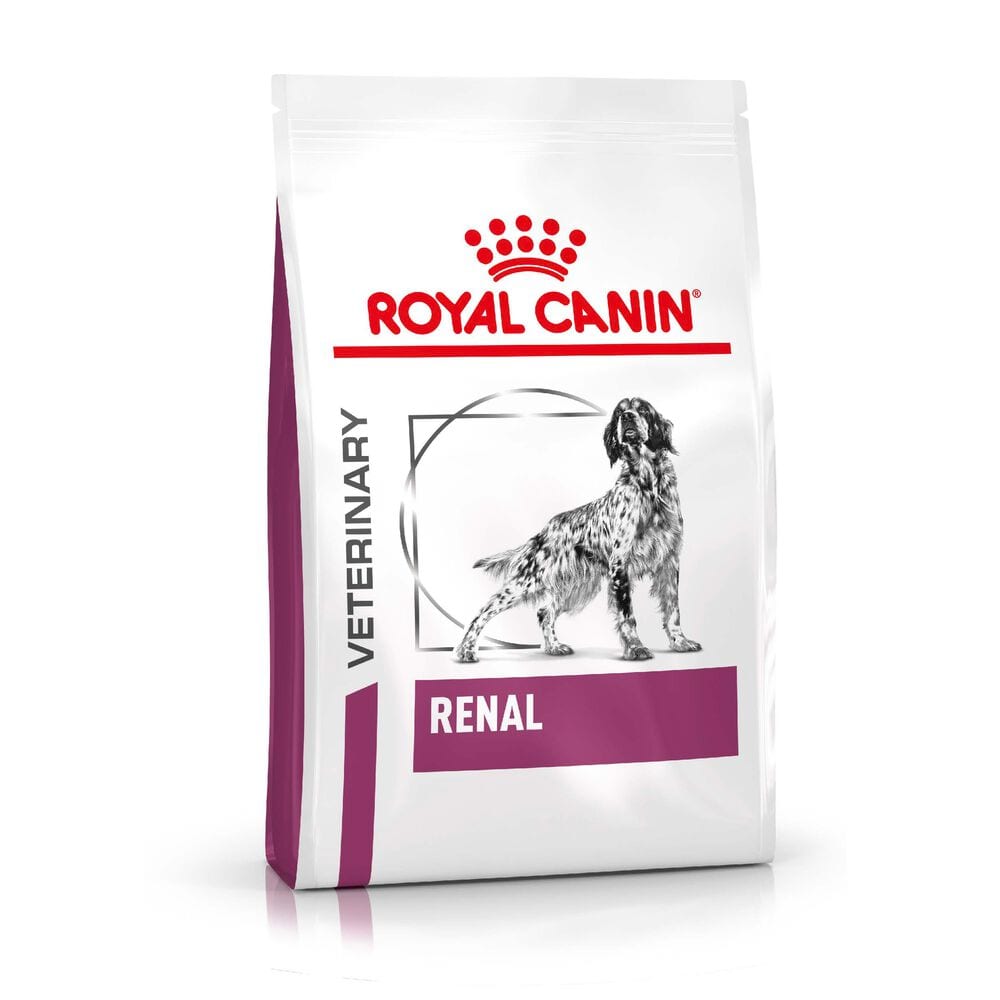 Truth about 2024 royal canin