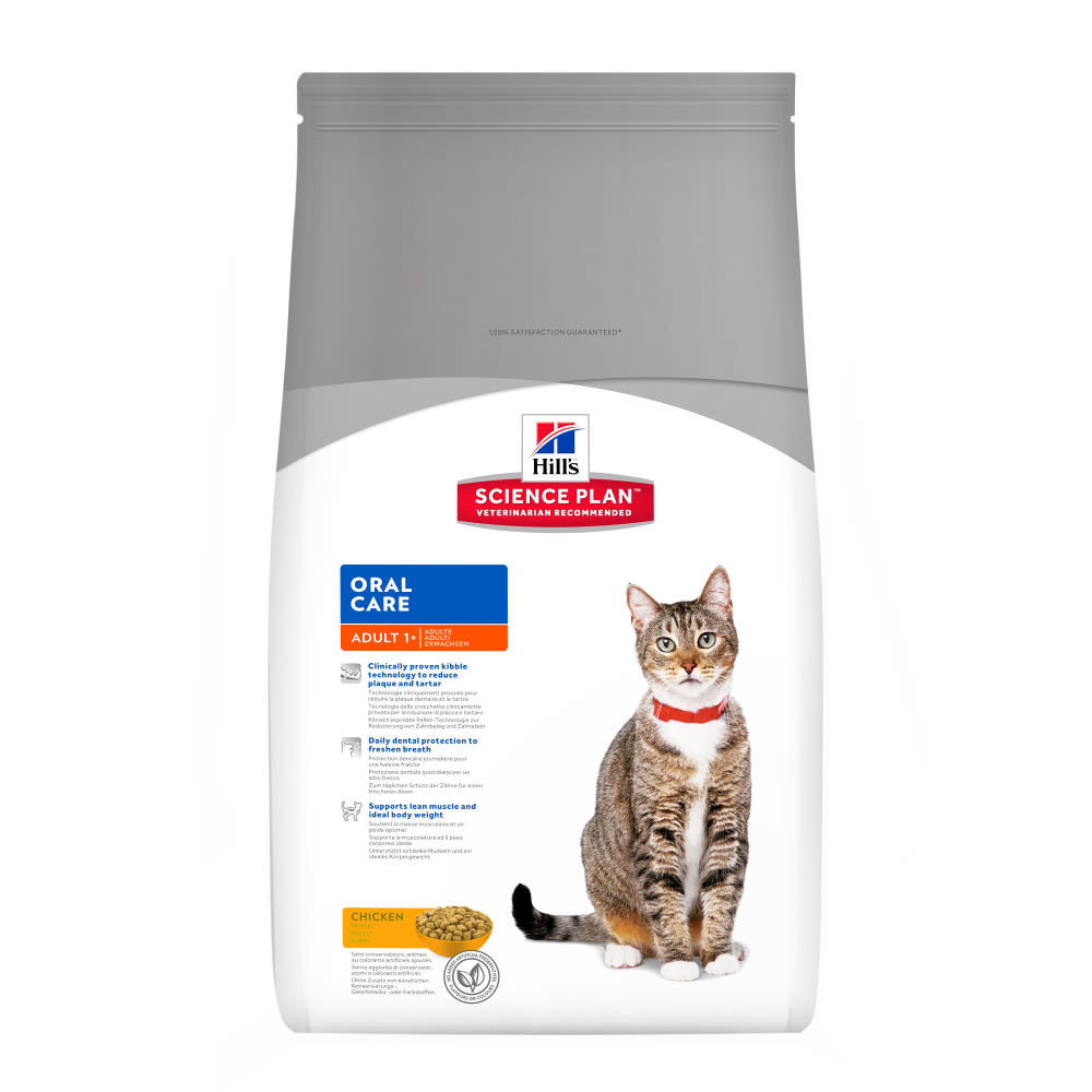 hills td dental cat food