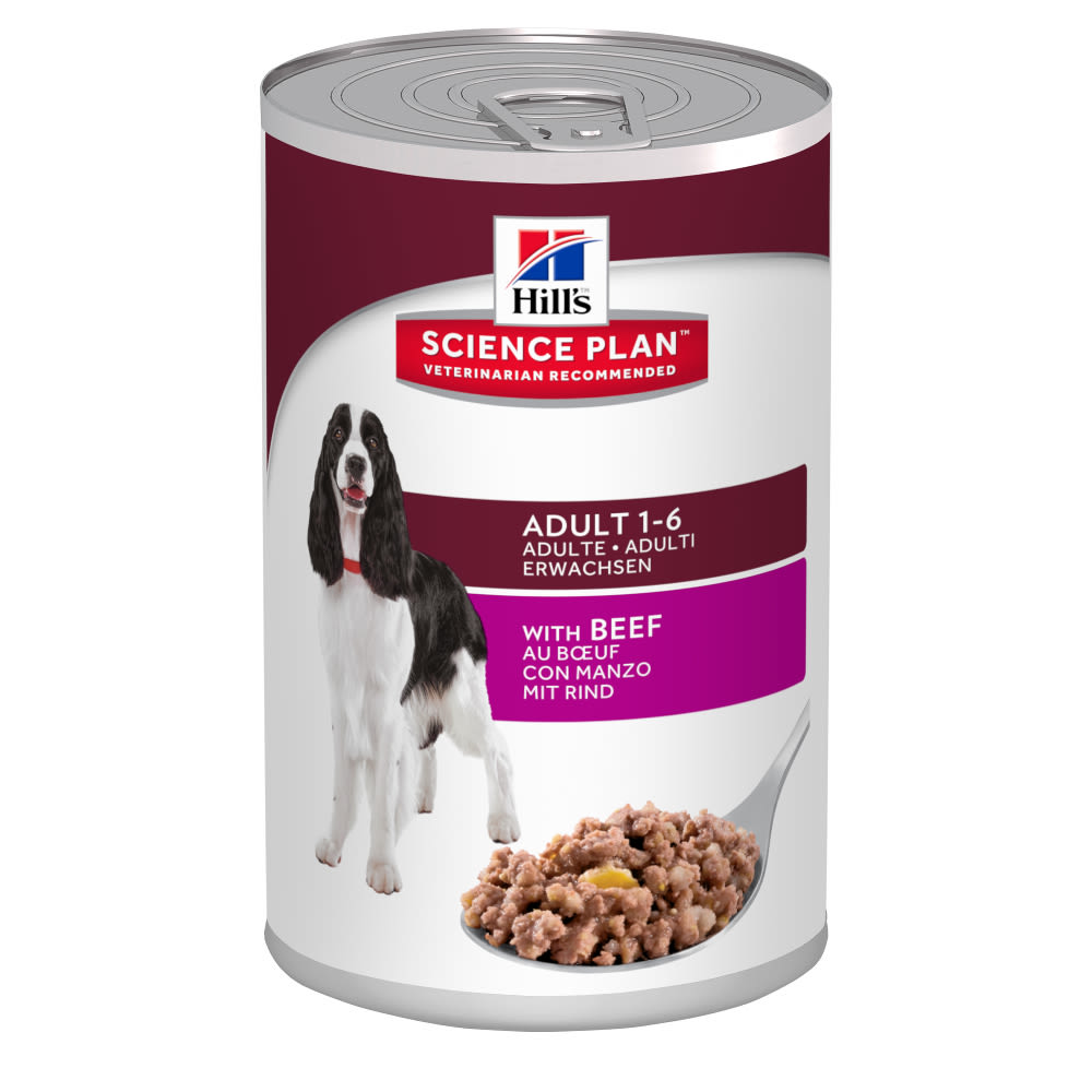  Hills Science Plan Wet