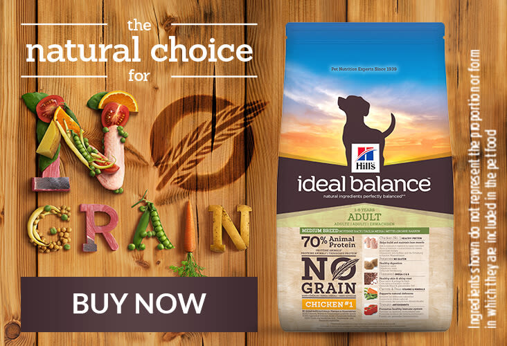 Buy Hill's Ideal Balance - The natural choice for no grain