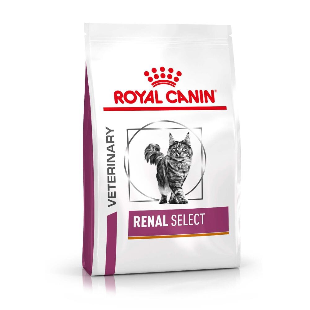 royal canin rsf 26