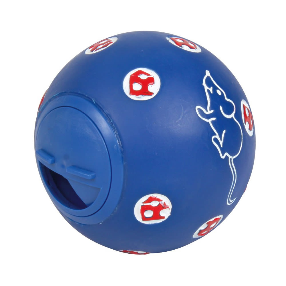Acticity Ball