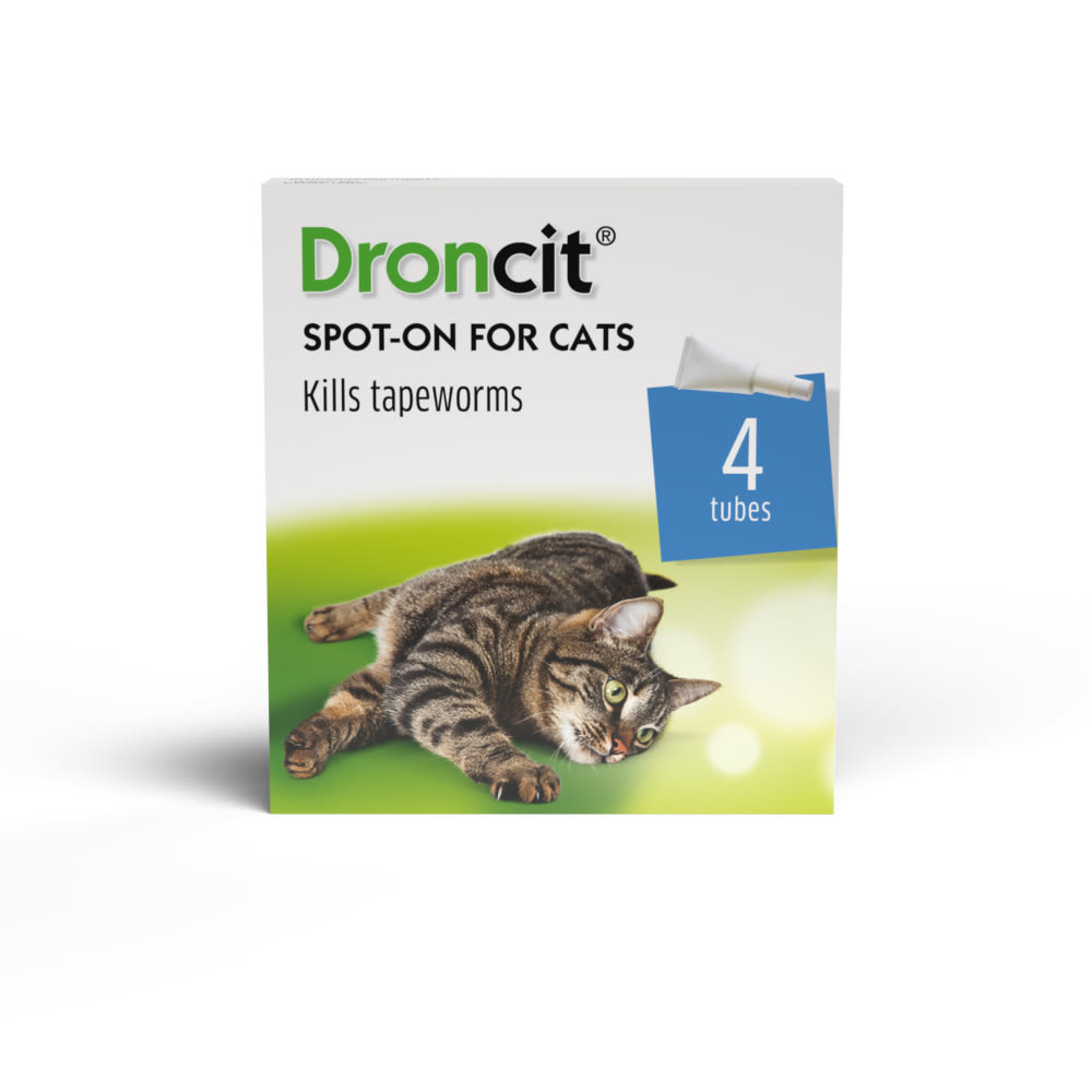 Droncit Spot On