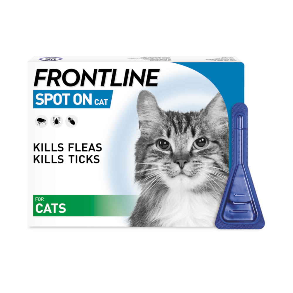 oral tick treatment for cats