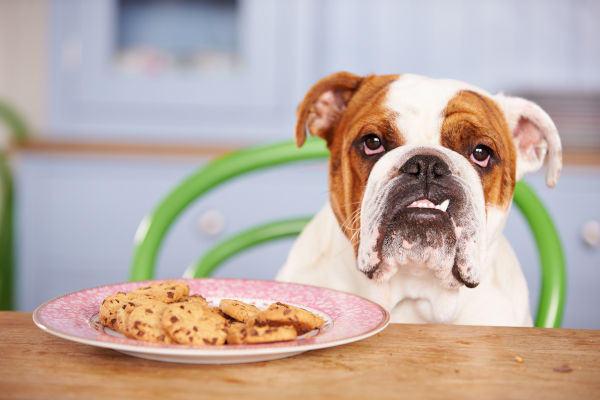 cookies=