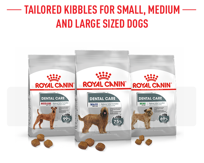 zooplus royal canin puppy maxi