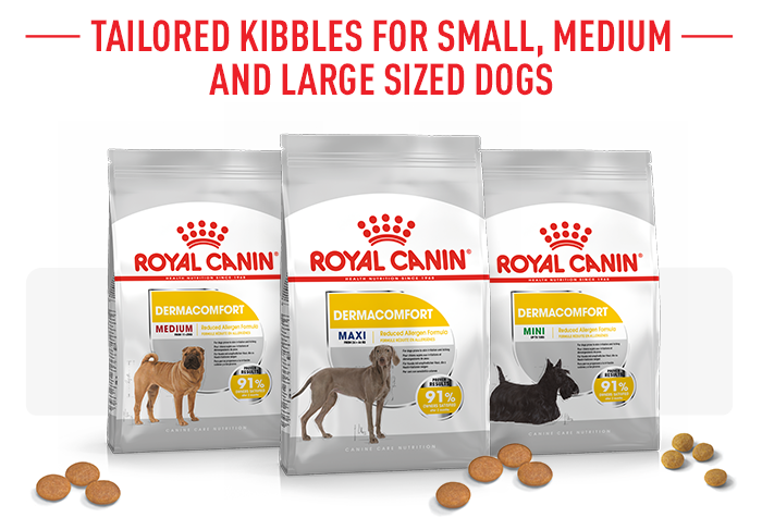 medium dermacomfort royal canin