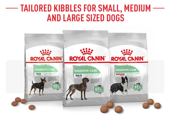 royal canin digestive medium