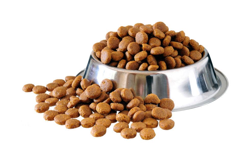 Which regional market has the highest Pet Dry Food market attractiveness in 2030? - Guides