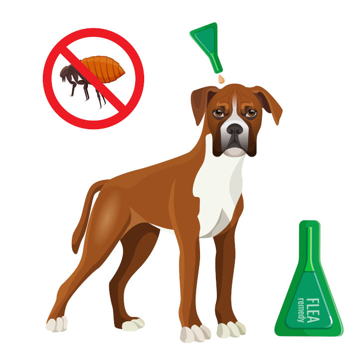Dog spot on treatment