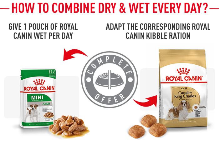 Royal canin cavalier shop king charles puppy food